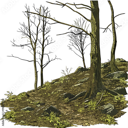 A digital illustration depicts a small cluster of trees on a rocky earthen hill against a stark white background high quality professional