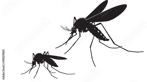 Mosquito insect silhouette set with detailed wings and long antennae on white background for vector style