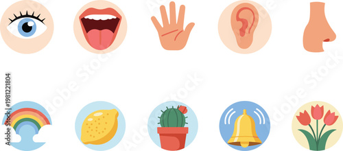 Flat of human senses and natural hand tongue nose