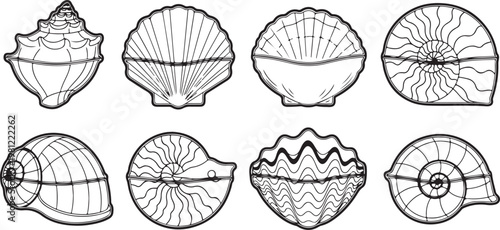 Intricate geometric designs and patterns on various circular surfaces Vector