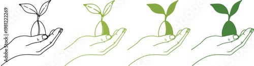 Illustrative depiction of plant growth stages from seed germination to a young plant with several leaves showcasing botanical development