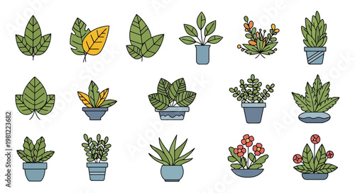 Adobe Illustrator Artwork