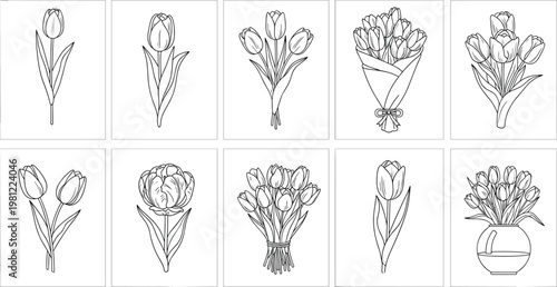 Set of Tulip Flower Line Art Illustrations Featuring Single Blooms Bouquets and Vases for Kids Coloring Pages Wedding Invitations and Minimalist Botanical Design
