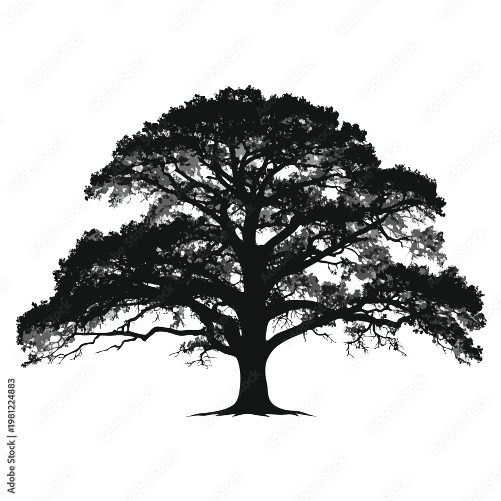Fototapeta premium Tree silhouette, black tree, oak tree, vector tree icon