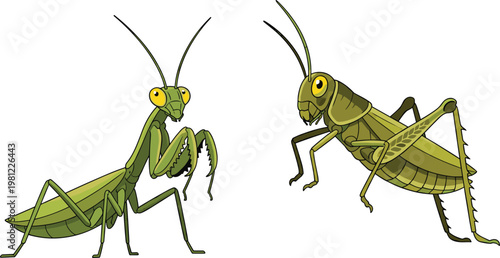 Cartoon Praying Mantis and Grasshopper Character Set with Different Poses for Insect, Nature, and Wildlife Themed Designs, Vector Illustration