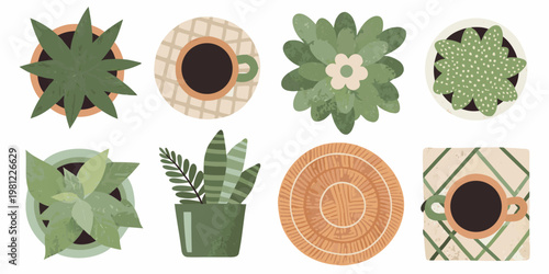 Top down view of potted plants and coffee cups in a decorative layout