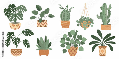 Variety of potted houseplants and cacti in a decorative illustration