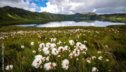 Serene lakeside landscape featuring a field of fluffy white flowers, mountains, and a cloudy sky