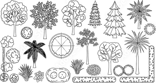 black and white illustration of various trees and plants for graphic design  isolated on white background