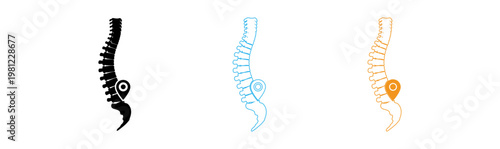 Human spine anatomy healthy vs scoliosis a comparative illustration