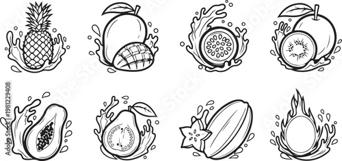 Illustrations of various shells with intricate patterns and details Vector
