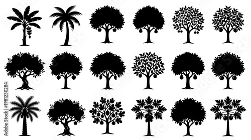 Collection of diverse tree silhouettes including palm trees fruit trees and leafy trees isolated on a white background representing nature and botany