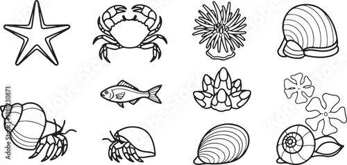 Line drawing collection of various sea creatures and ocean lifeforms Vector