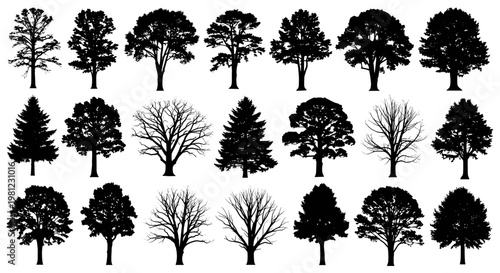 Collection of diverse tree silhouettes isolated on white background representing nature and seasons