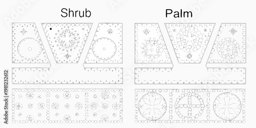 Illustrative diagrams of shrub and palm plant cross sections with detailed patterns