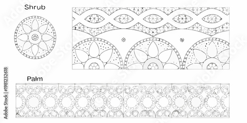 Botanical illustrations depicting cross sections of shrub and palm plant stems