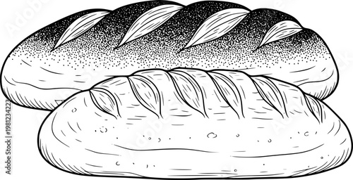 Hand Drawn Loaves of Bread Isolated White Background Bakery Food loaf baking