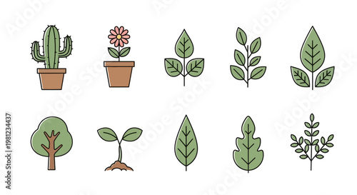 Various types of green leafy plants.