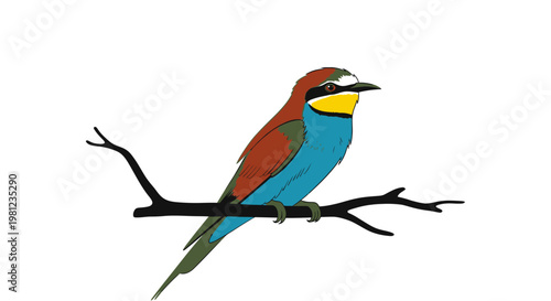 Colorful bird perched on a branch vibrant plumage nature illustration wildlife art colorful feathers