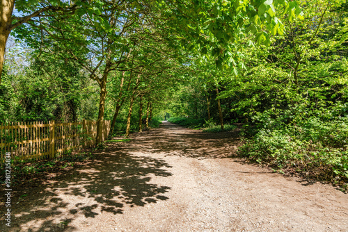 Canvas Print An alley way through Holland park, London, UK
