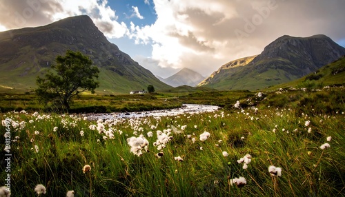 Serene landscape of a valley with a river flowing through a field of cotton grass under a cloudy sky and distant mountains