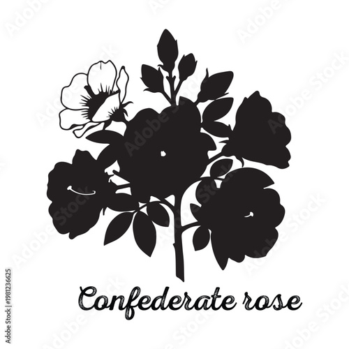 Black silhouette of a Confederate rose bush with blooming flowers, botanical element.