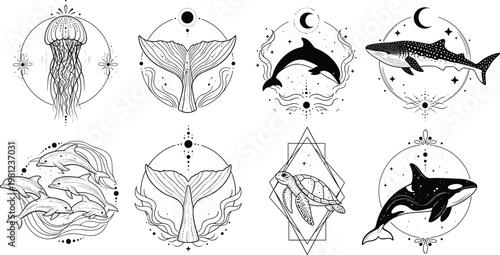 Celestial marine life collection with jellyfish whale dolphin sea turtle and whale tail in mystical moon and stars line art style for boho branding and tattoo vector illustration