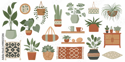 A collection of various houseplants decorative pots and woven interior elements