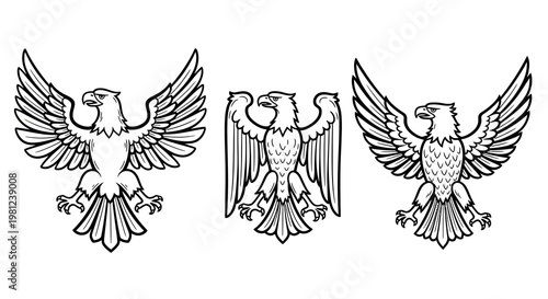 Majestic heraldic eagles in detailed black and white silhouette for vintage designs