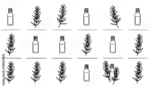 Minimal Rosemary Essential Oil Seamless Pattern Botanical Vector
