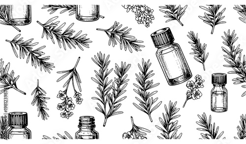 Rosemary Seamless Pattern Botanical Essential Oil Cosmetic Vector