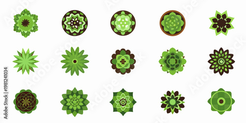 Collection of vibrant geometric succulent plant top views in green tones