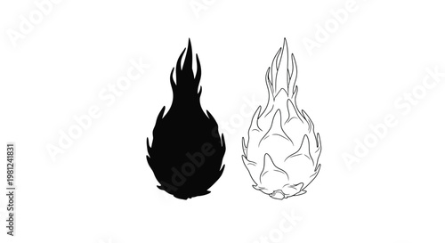 Dragon fruit illustration with contrasting tones and a dark silhouette