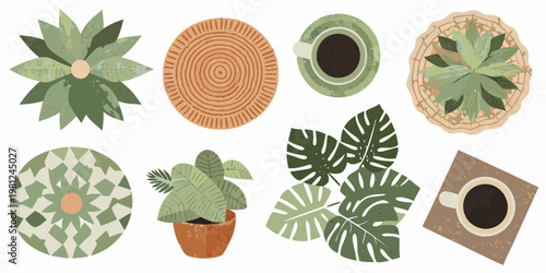 Collection of illustrated potted plants and top down views of objects