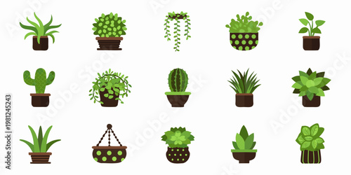 Collection of various potted houseplants and hanging plant arrangements