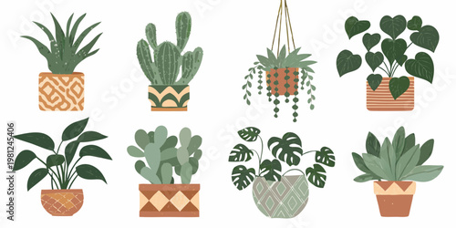 A collection of various potted and hanging indoor plants in illustration style