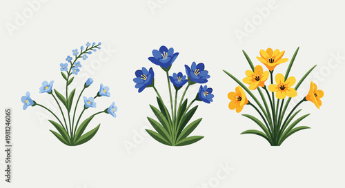Blue and yellow irises in full bloom with green leaves, flat lay flower petals