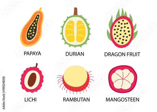 Exotic fruit icon set papaya, mangosteen, lychee