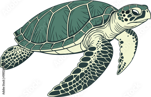 Single Sea Turtle Marine Animal. Realistic Sea Turtle Ocean Creature. Isolated Sea Turtle Underwater Animal. Marine Sea Turtle Ocean Wildlife. Single Sea Turtle Natural Ocean Life. Realistic Sea