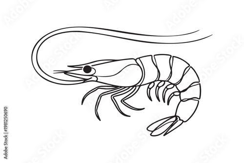 Black-and-white line drawing of a shrimp with segmented body, multiple legs, long antennae, and a tail fan; stylized and simplified marine illustration
