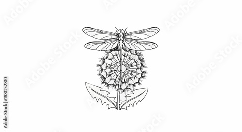 Black and white sketch of a dragonfly perched on a dandelion