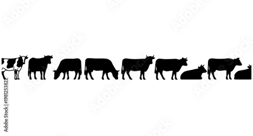 Cow silhouette set in different poses farm cattle vector collection isolated on white background
