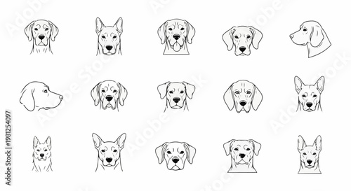 Collection of 15 diverse dog head sketches in various poses and breeds