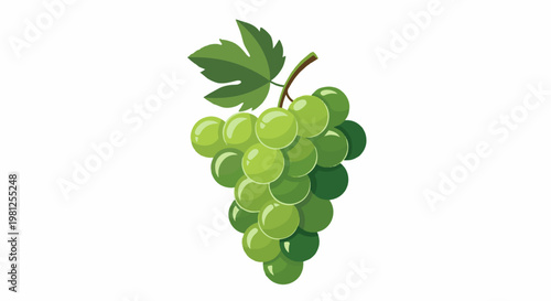 Bunch of ripe green grapes with a leaf and stem