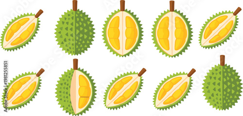 Durian fruit vector set with whole and sliced tropical durian showing spiky shell and yellow pulp in flat illustration