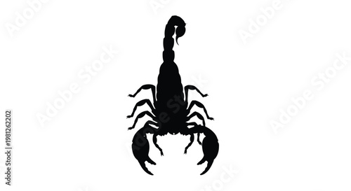 A striking black scorpion illustration detailed and sharply defined silhouette