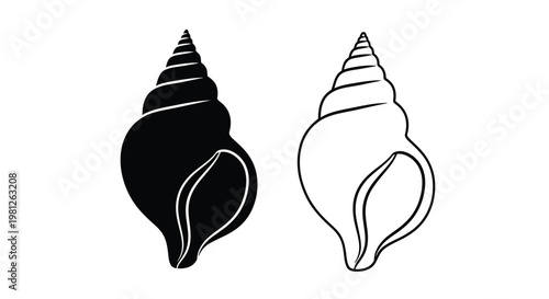 Two spiral seashells one dark and one light in silhouette