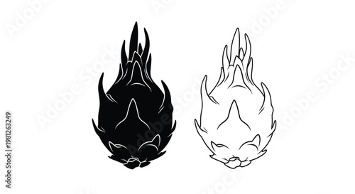 Dragon fruit illustration with contrasting black and white designs silhouette