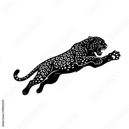 black leopard jumping with open mouth