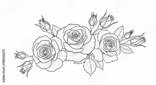 Delicate sketch of a rose bouquet with multiple blooms and buds